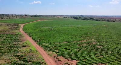 Farm For Sale in Vasfontein, Pretoria